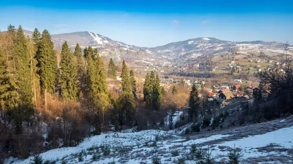 Ağaçlar ve dağlarla dolu güzel kış manzarası