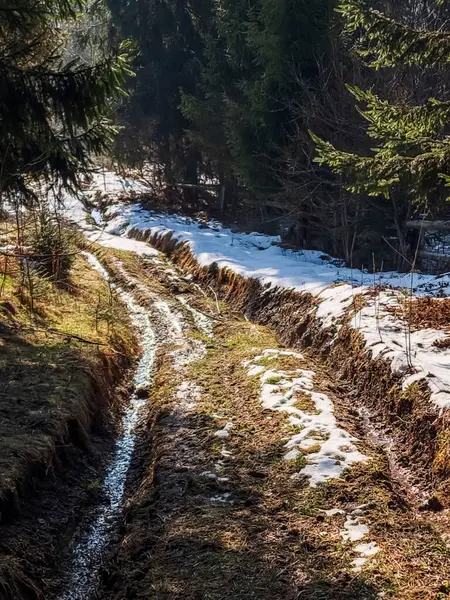 Kar ve ağaçlarla kaplı kış manzarası