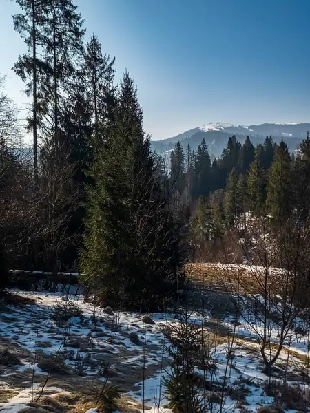 Karpatlar kış manzarası.
