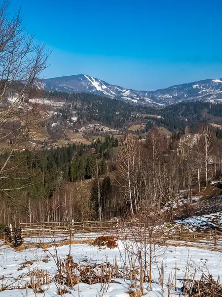 Ağaçlar ve karla kaplı güzel kış manzarası