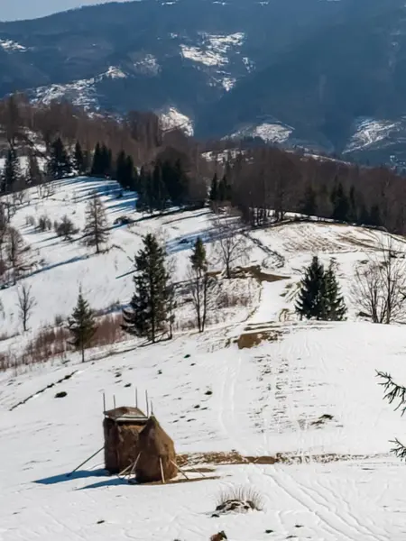 winter landscape in the ukrainian carpathians