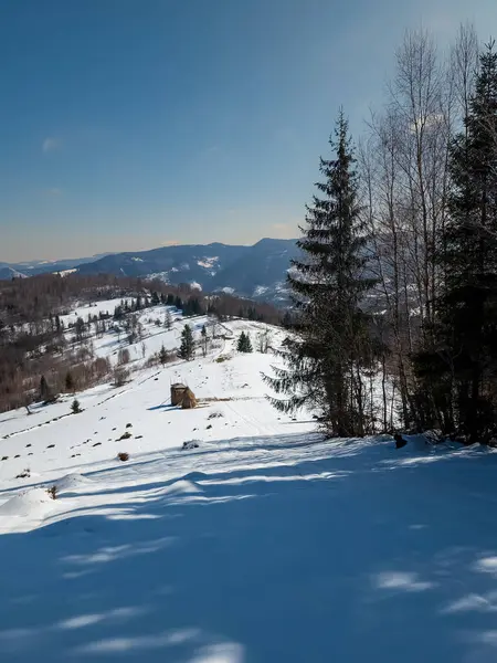 Ukrayna 'daki Karpat Dağları' ndaki güzel dağ manzarası