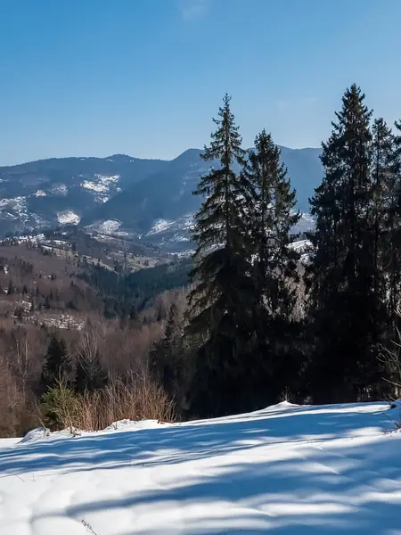 Vitosha Dağı 'nın kış manzarası, Sofya Şehir Bölgesi, Bulgaristan
