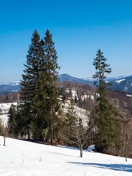 Karla kaplı ağaçlarla kaplı güzel kış manzarası.