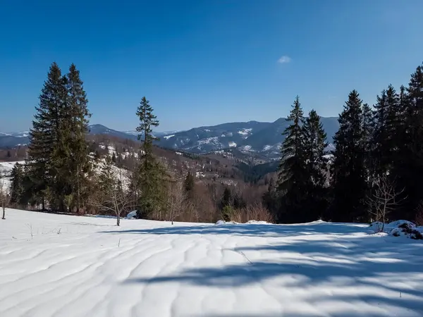 Karlı kış dağı karla kaplı ormanla