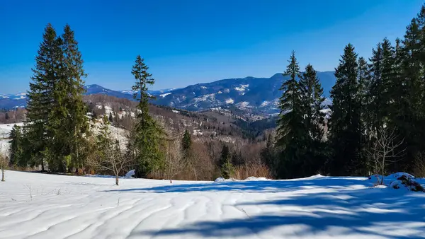 Vitosha Dağı Kış manzarası, Bulgaristan