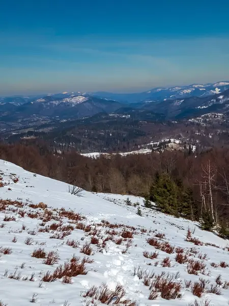 Kış aylarında Ukrayna Karpatlar.