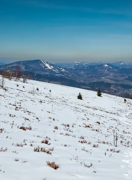 Karla kaplı ağaçlarla kaplı güzel kış manzarası