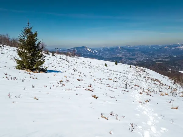 Karpatlarda karla kaplı ağaçlar