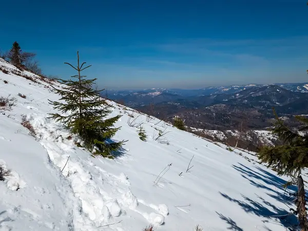 Kış dağı manzarası, karla kaplı dağlar