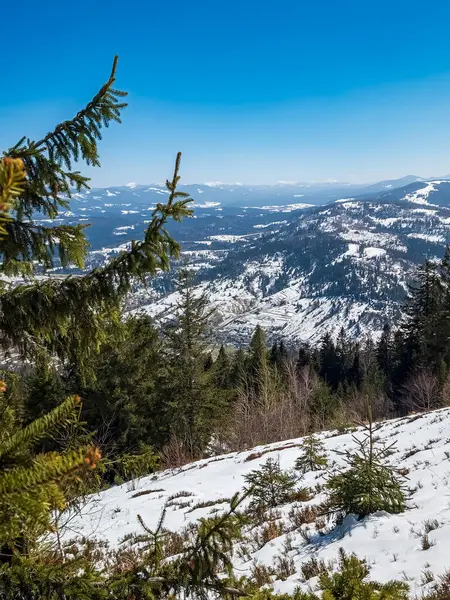 güzel manzara kış orman