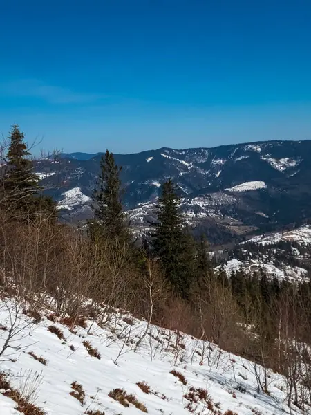 Kışın dağ manzarası