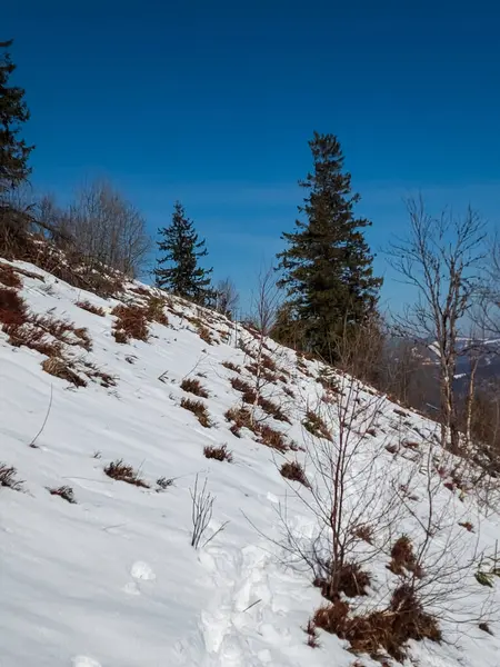 Dağlarda karlı kış manzarası