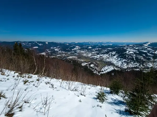 Tepenin tepesinden kış dağlarının manzarası.