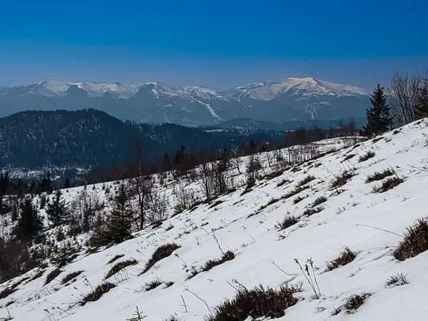 Kış manzara dağlar ve orman ile