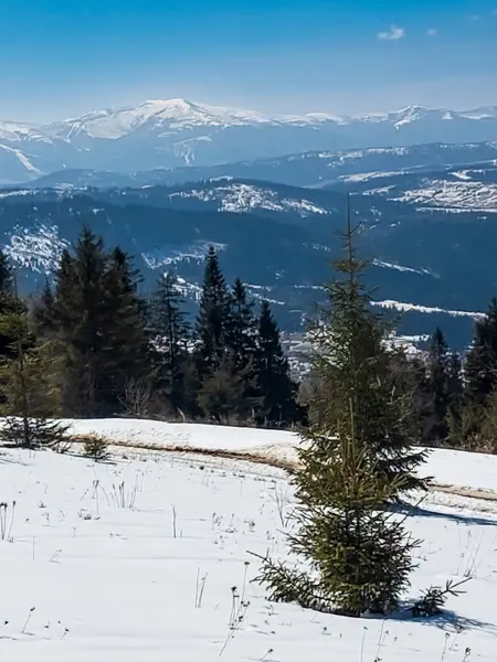 Karla kaplı dağlarla kaplı güzel kış manzarası