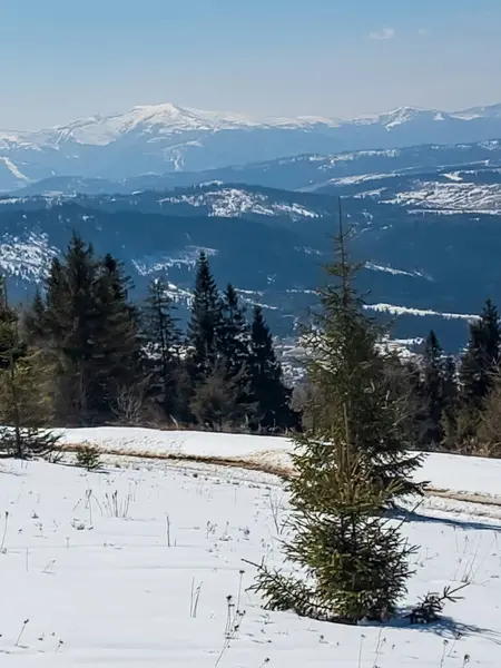 Karlı güzel kış manzarası