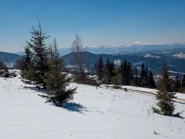 Karpatlar 'ın kış manzarası