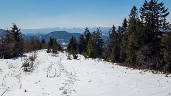 Vitosha Dağı 'ndan kış manzarası, Sofya Şehri Bölgesi, İspanya