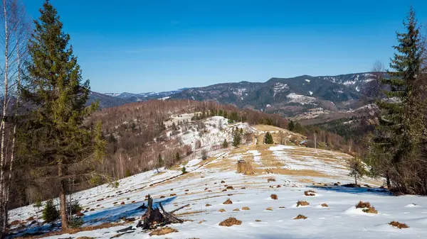 Ukraynalı Karpatların güzel manzarası