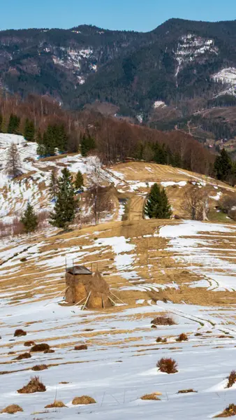 Güzel bir kar ve dağ manzarası.