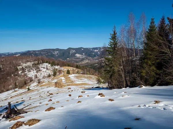 Karla kaplı ağaçlarla kaplı kış manzarası