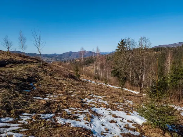 Güzel bir ormanın dağ manzarası.