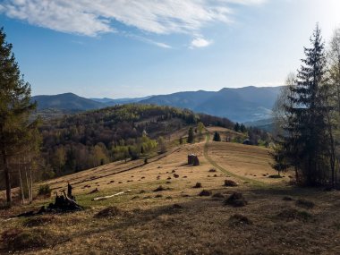 Dağlarda bir ağacı olan güzel bir manzara.
