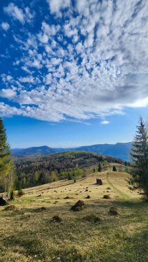 Ağaçlı ve arka planda mavi gökyüzü olan güzel bir tarla görüntüsü.