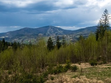 Dağ ve ormanla dolu güzel bir manzara.