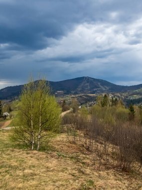 Ağacı ve dağı olan güzel bir manzara.