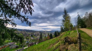 güzel dağ manzarası ile orman