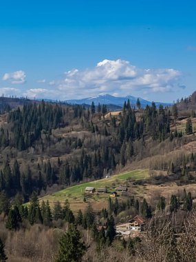 Tepedeki dağın manzarası