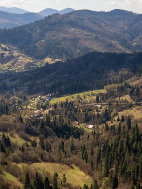 Dağlardaki yeşil bir ormanın yüksek açılı görüntüsü.