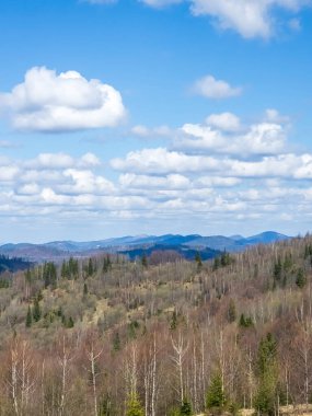 Dağın tepesinden ormanın manzarası