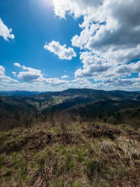 Ormandan dağların manzarası