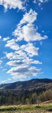 Mavi gökyüzü olan bahar manzarası