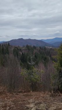 Dağları olan güzel bir manzara