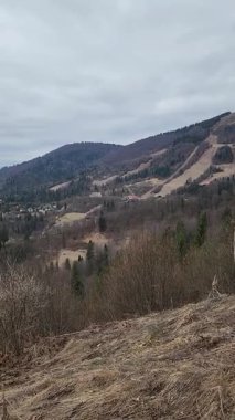 Ormandaki dağın dikey görüntüsü.