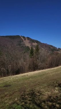 Küçük bir ağacı olan bahar manzarası
