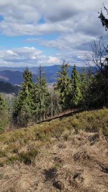 Ağaçlar ve dağlarla dolu güzel sonbahar manzarası