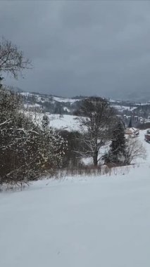 Karpat Dağlarının güzel manzarası