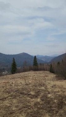 bir ağaç tarlası olan bahar manzarası