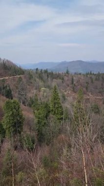 Arkasında bir dağ ve orman olan güzel bir manzara.