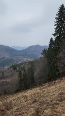 Karpatlar 'daki dağ manzarasının güzel bir görüntüsü.