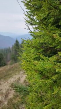 Dağların güzel manzarası