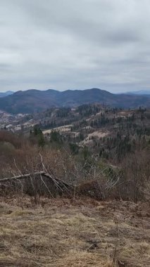 Bulutlu bir havada, arka planda bulutlu bir gökyüzü olan ağaçların yüksek açılı görüntüsü