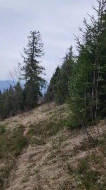 Arkasında bir dağ olan güzel bir manzara.