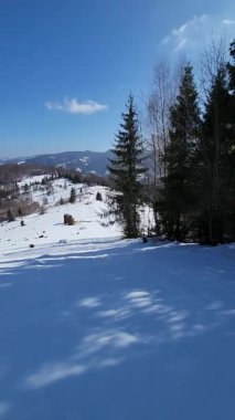 Kış manzarası dağlarda karla kaplı ağaçlar