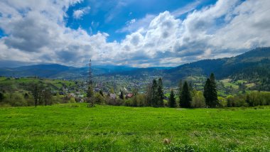 Karpatlar 'da yeşil otlarla kaplı bir arazi..